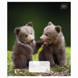 Sąsiuvinis Interdruk A5 12 lapų langeliais Wild Collection 4