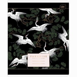 Sąsiuvinis 32l. lang. MIX (2019) INTERDRUK pak.10/120