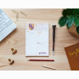 Harry Potter Gryffindor Užrašų lapeliai 
