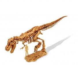 Rinkinys tyr.  Iškask T-Rex  /439TYRT/BF