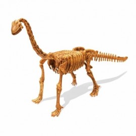 Rinkinys tyr.  Iškask Brachiosaurus  /439BRA/BF