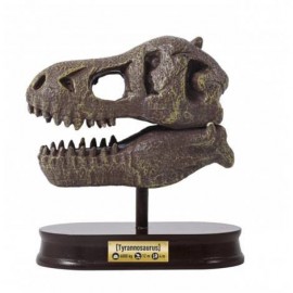 Rink. Tyr. Iškask DINO T-Rex kaukolę /2130/BF