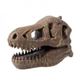 Rink. Tyr. Iškask DINO T-Rex kaukolę /2130/BF