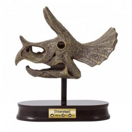Rink. Tyr. Iškask DINO Triceraptors kaukolę2131/BF