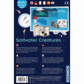 Smagus mokslas SALTWATER CREATURES 8-12