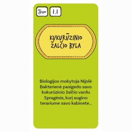 Stalo žaidimas Domas ir Tomas. Mokyklos detektyvai