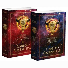 Carlos Castaneda rinkinys