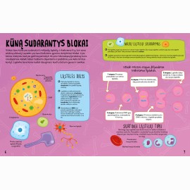 Sužinok ir sužibėk.  Žmogaus kūnas (su lipdukais)