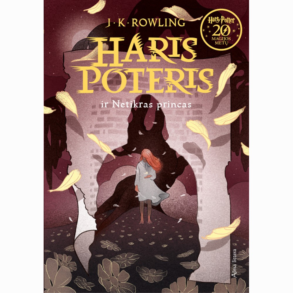 Haris Poteris ir Netikras Princas. 6 knyga