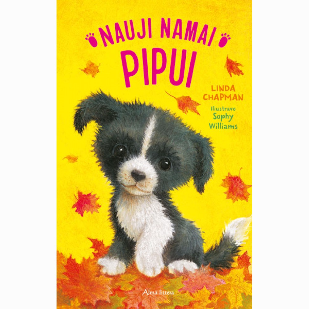 Nauji namai Pipui