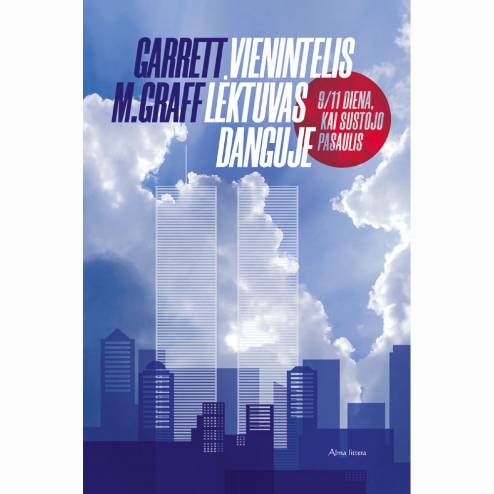 Vienintelis lėktuvas danguje