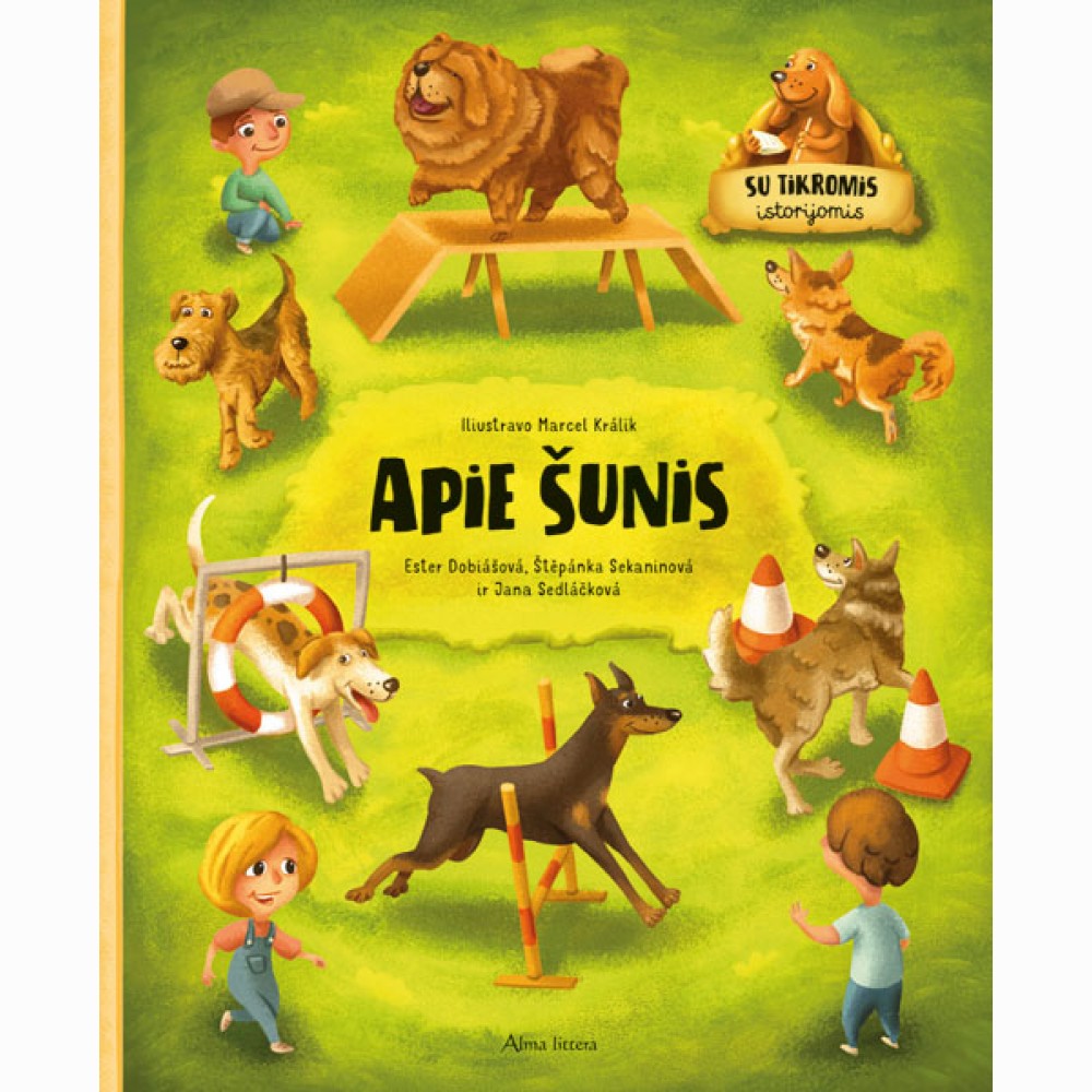 Apie šunis