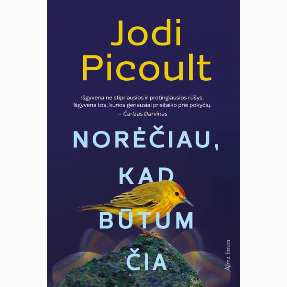 Norėčiau, kad būtum čia