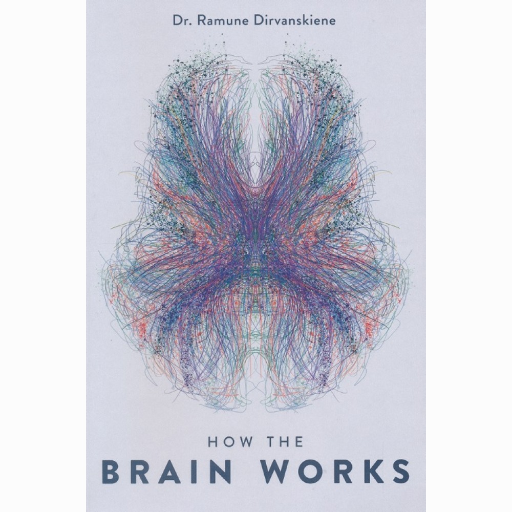 How the Brain works