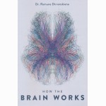 How the Brain works
