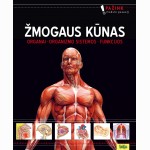 Žmogaus kūnas. Organai. Organizmo sistemos. Funkcijos