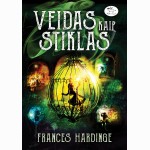 Veidas kaip stiklas