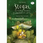 Stogas, po kuriuo auginu žvaigždes ir lietų