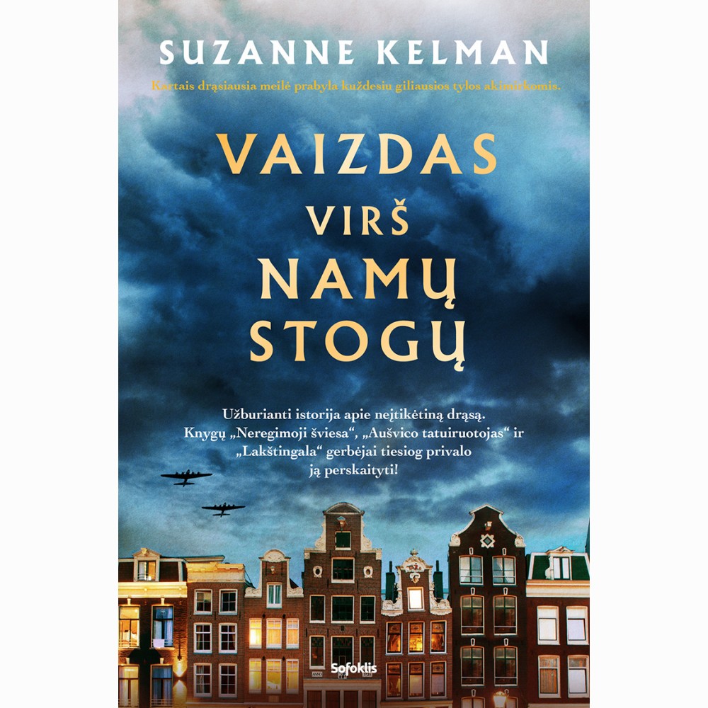 Vaizdas virš namų stogų