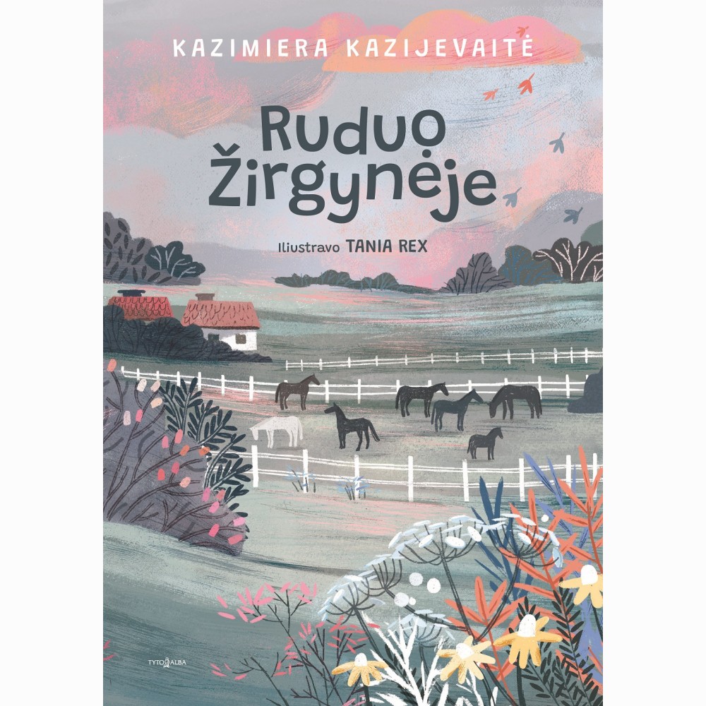 Ruduo Žirgynėje