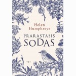 Prarastasis sodas