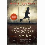 Dovydo žvaigždės vaikai