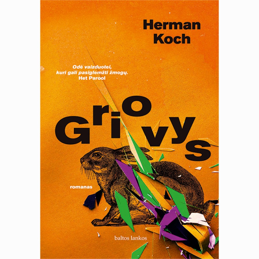 Griovys