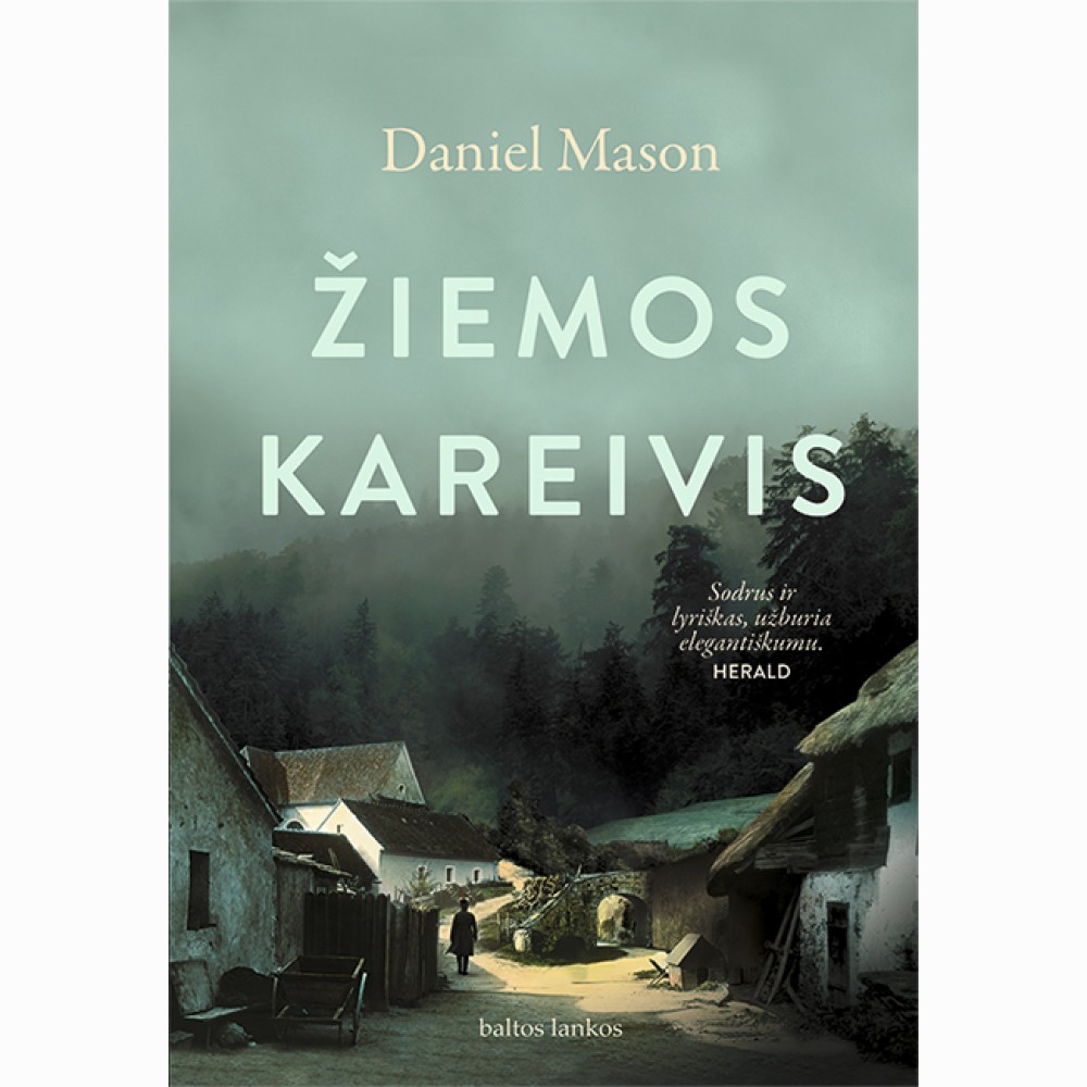Žiemos kareivis