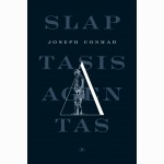 Slaptasis agentas