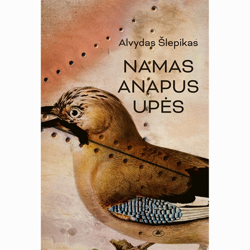 Namas anapus upės