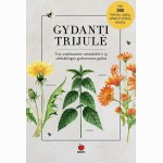 Gydanti trijulė