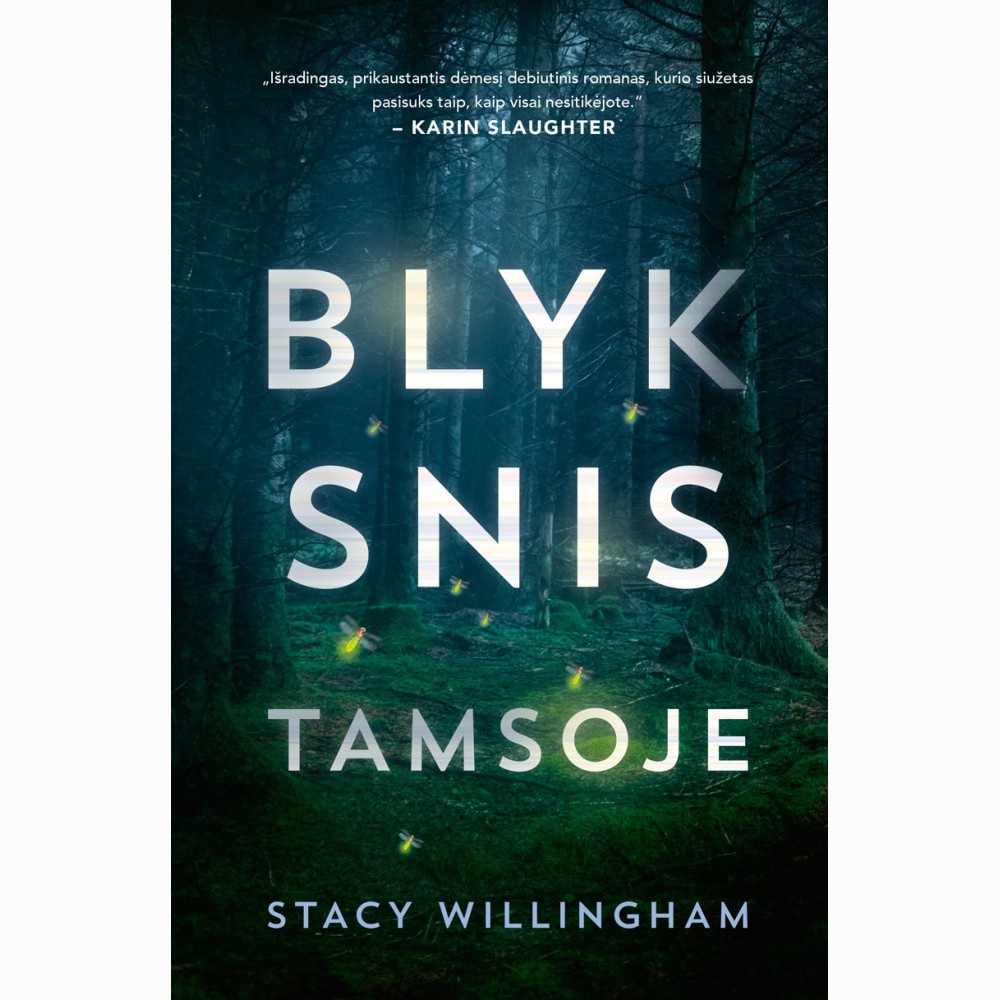 Blyksnis tamsoje