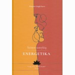 Šeimos santykių energetika