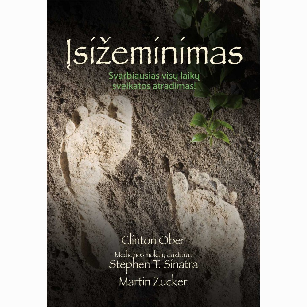 Įsižeminimas