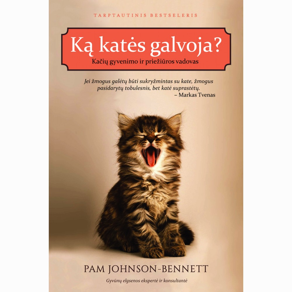 Ką katės galvoja?