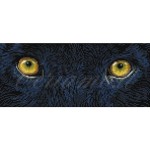 Deimantinė mozaika BLACK PANTHER SPY 42x