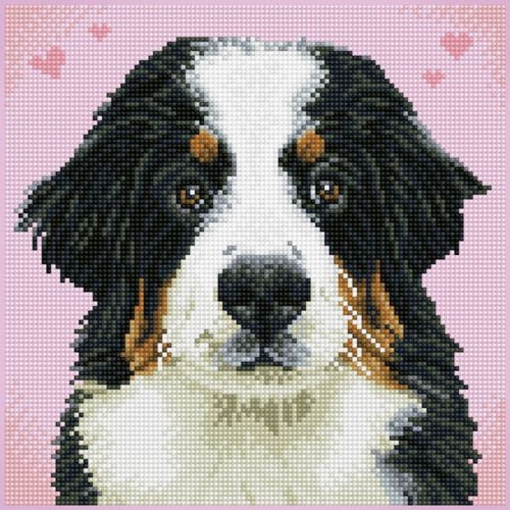 Deimantinė mozaika SAY HELLO TO ZUZU 29x