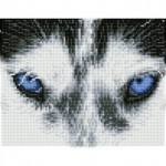 Deimantinė mozaika MYSTIC HUSKY  20,3x26