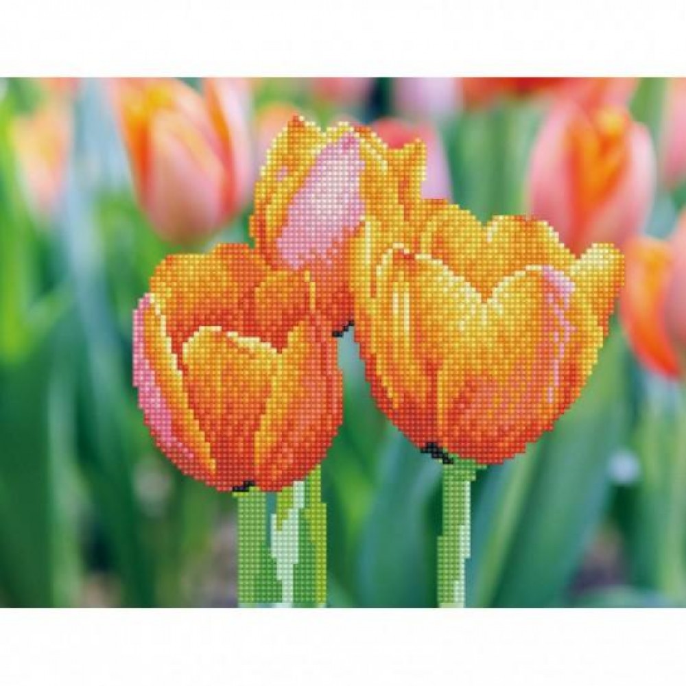 Deimantinė mozaika LOVE TULIPS 27x35