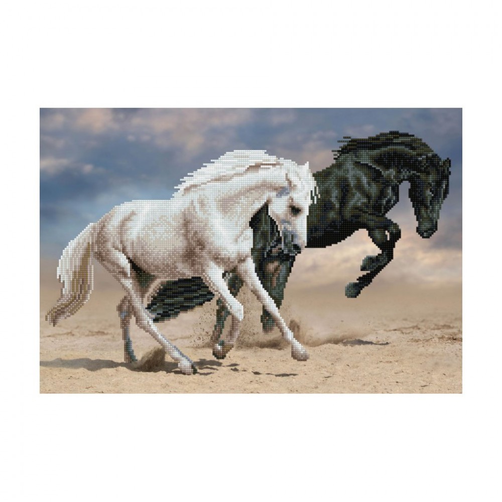Deimantinė mozaika HORSE PLAY 42x62