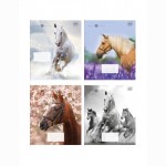 Sąsiuvinis 12 lapų langeliais   12#   HORSES