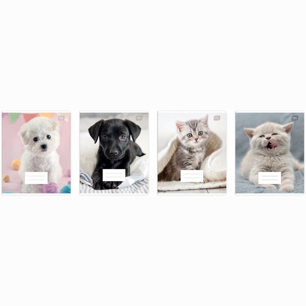 Sąsiuvinis 12 lapų langeliais   12#   I lOVE PETS
