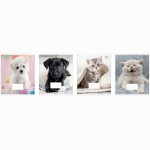 Sąsiuvinis 12 lapų langeliais   12#   I lOVE PETS