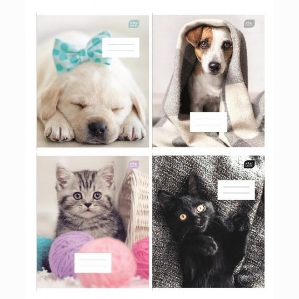 Sąsiuvinis 12 lapų linijomis    12=    I lOVE PETS