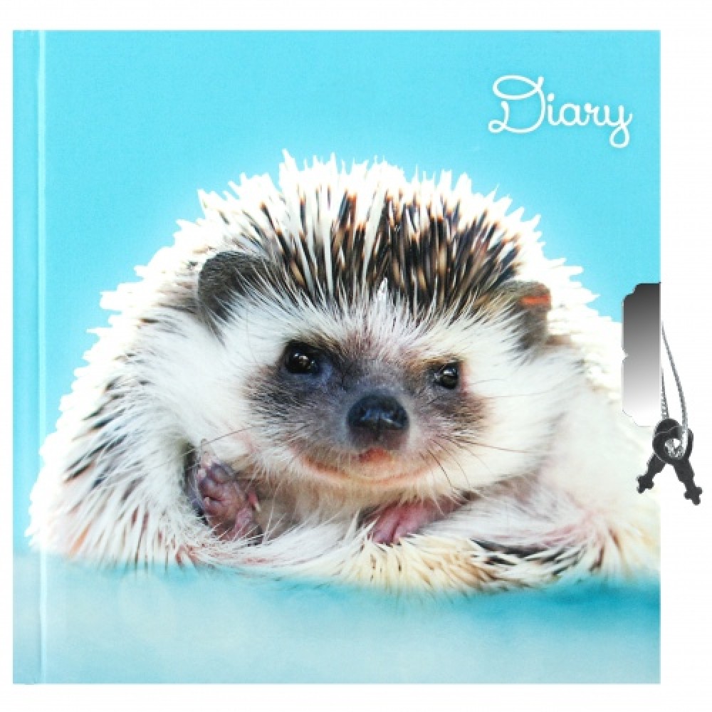 Dienoraštis su spinele Ežys 13,5 x 13,5 cm STARPAK