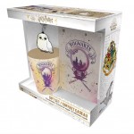 Dovanų rinkinys  HARRY POTTER (Puodelis + Raktų pakabukas + Užrašų knygelė)