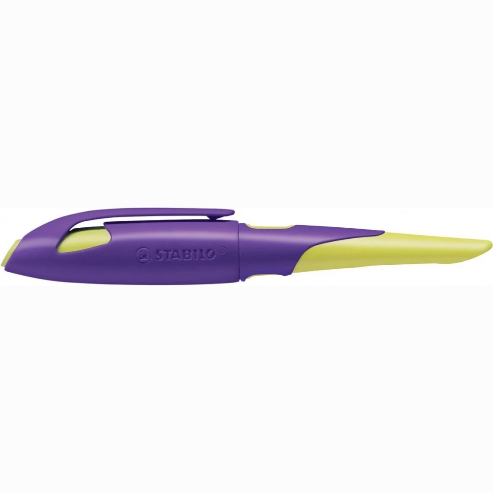 Plunksnakotis EASYbirdy R nib A violet-yellow