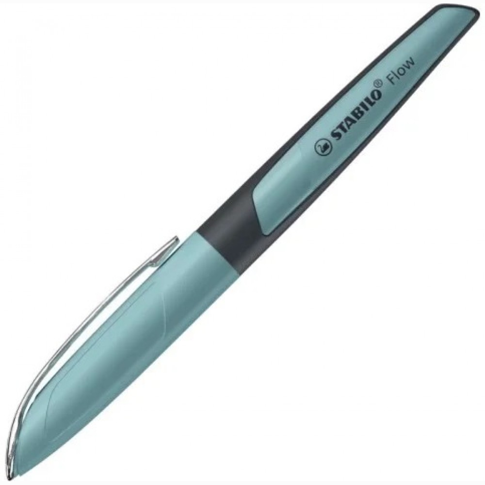 Plunksnakotis FLOW nib M pastel turquoise