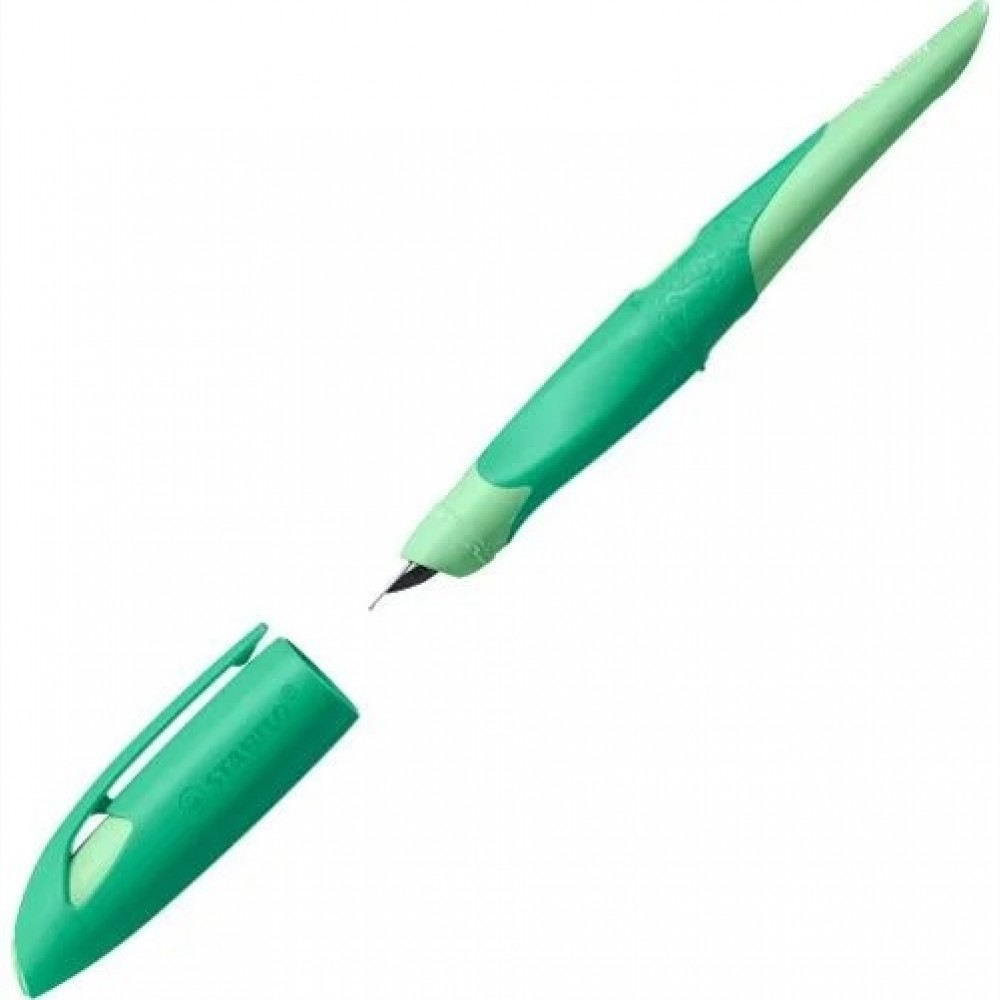 Plunksnakotis EASYbirdy 3D Wildlife R nib A green