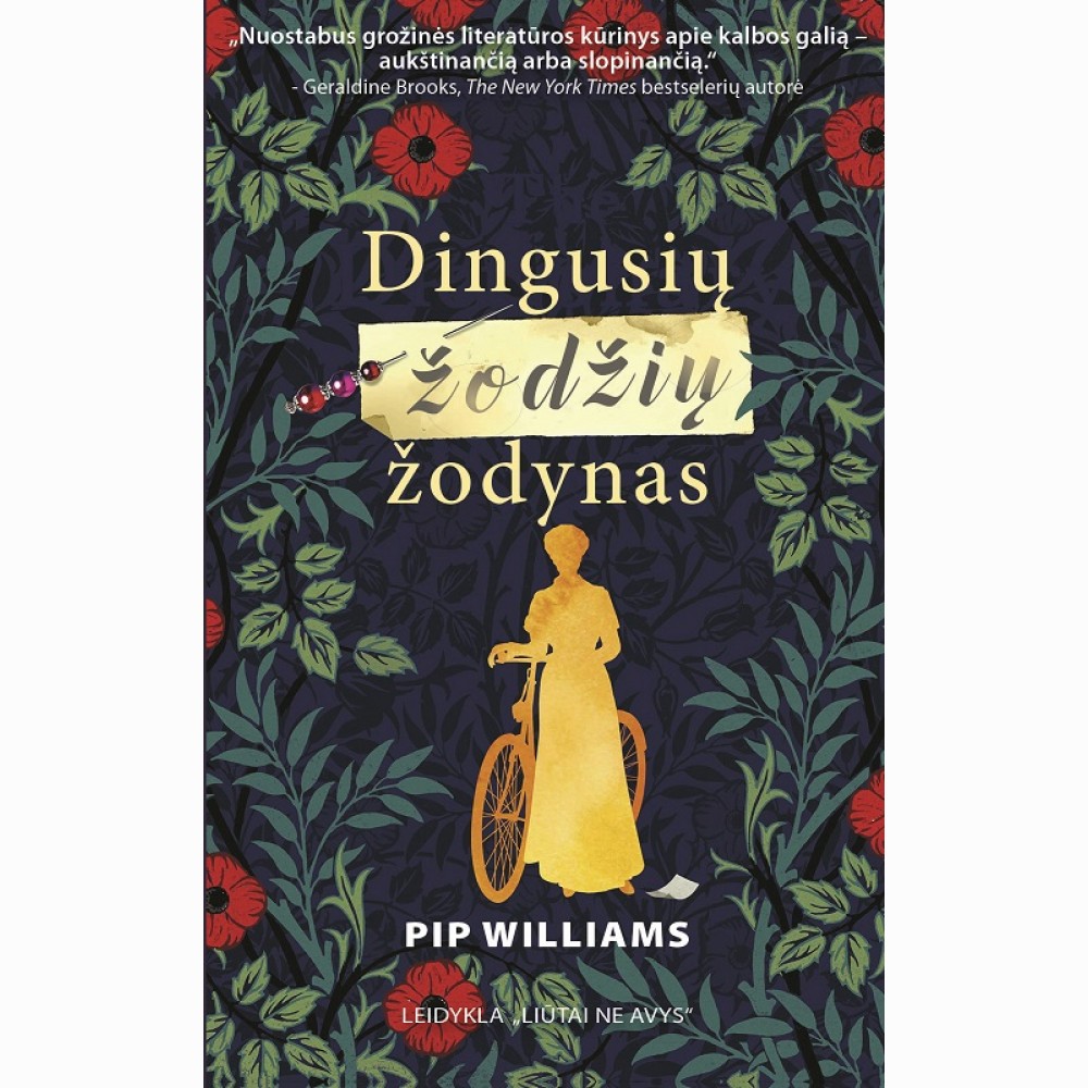 Dingusių žodžių žodynas